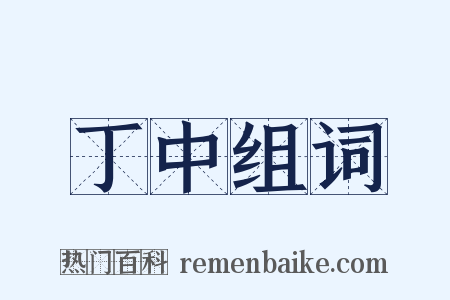 丁中组词是什么意思的图片
